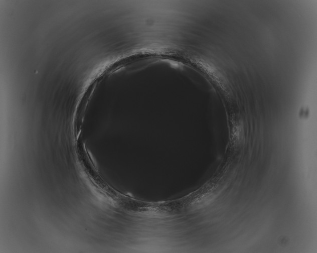 X0000091240678200708231718