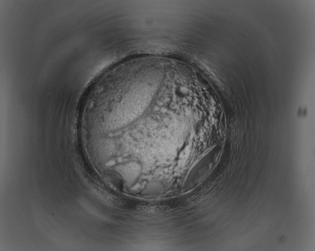 X0000091240679200708231718