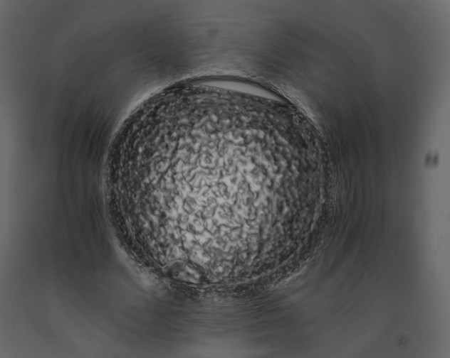 X0000091240680200708231718