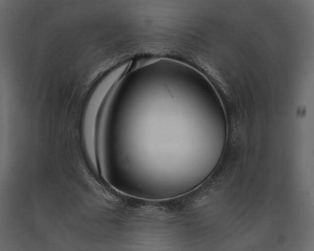 X0000091240681200708231718