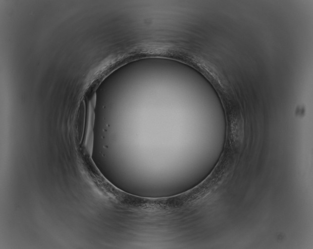 X0000091240682200708231718