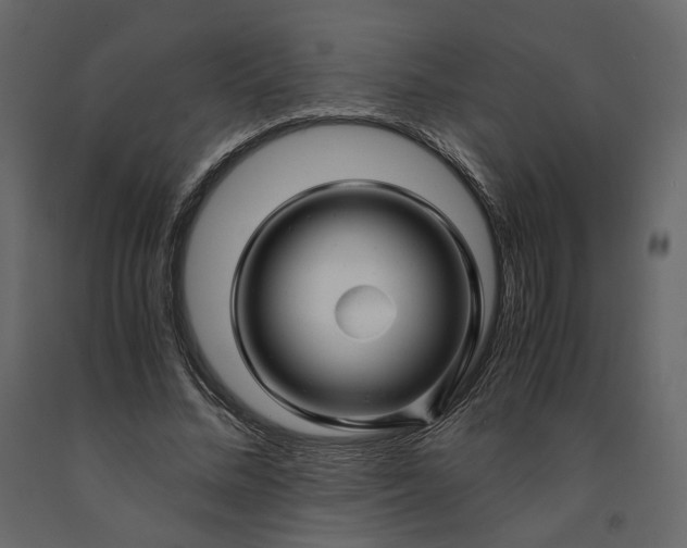 X0000091240684200708231717