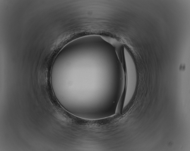 X0000091240685200708231717