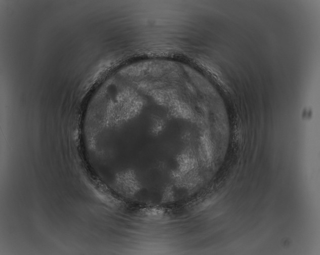 X0000091240687200708231717