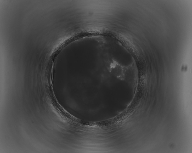 X0000091240688200708231717