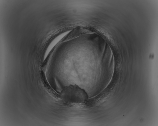 X0000091240689200708231717