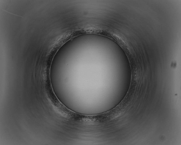 X0000091240690200708231717