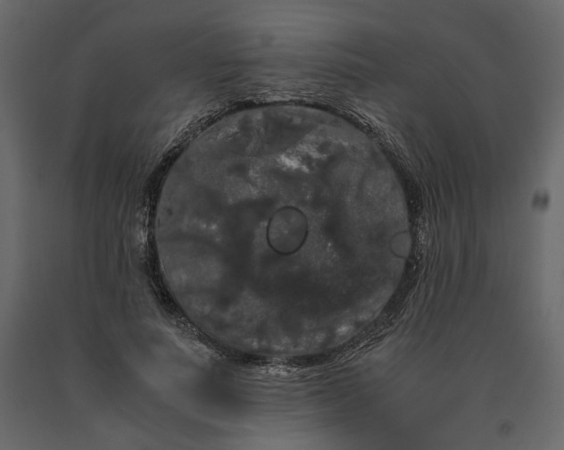 X0000091240691200708231717
