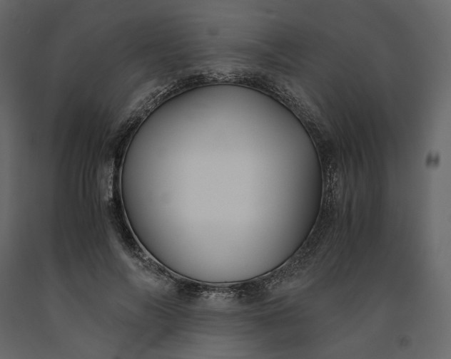 X0000091240694200708231717