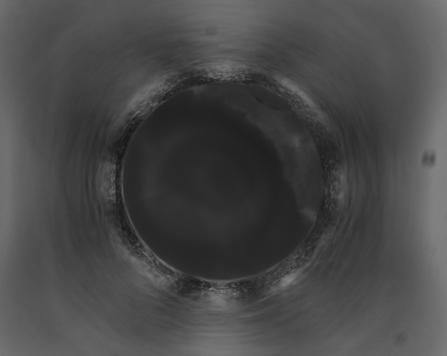 X0000091240696200708231717