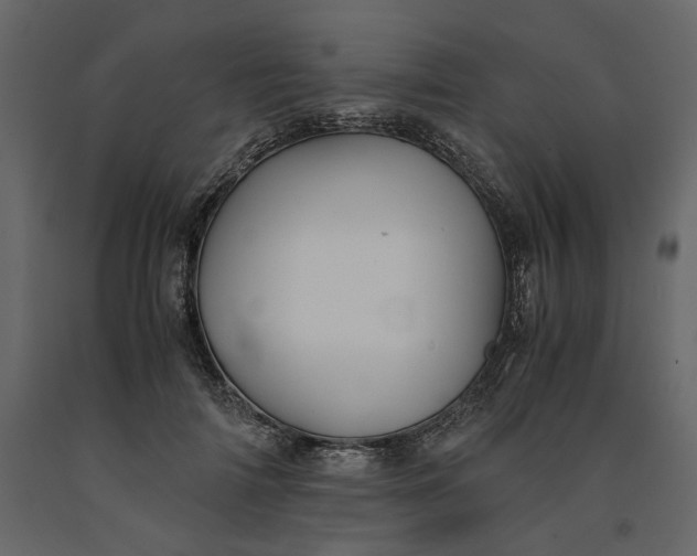 X0000091240698200708231717