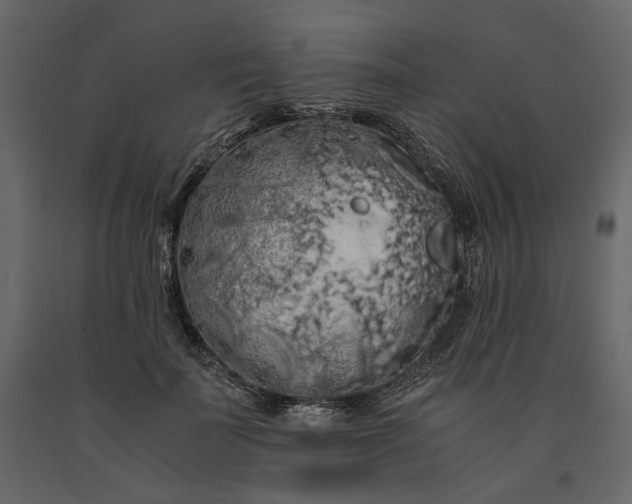 X0000091240699200708231717