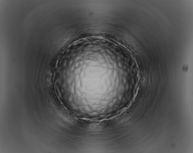 X0000091240700200708231717