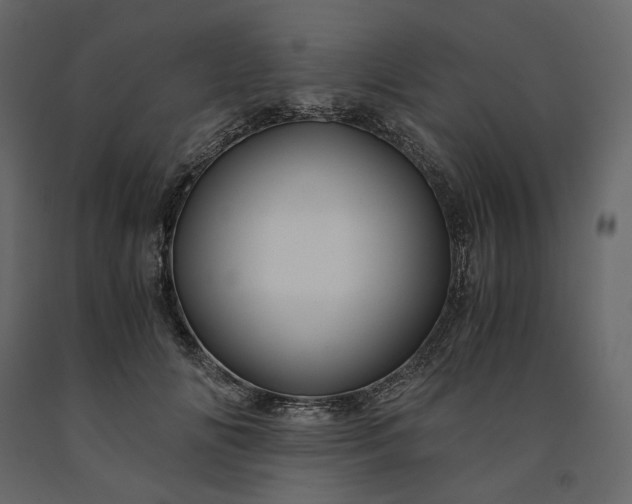 X0000091240702200708231717
