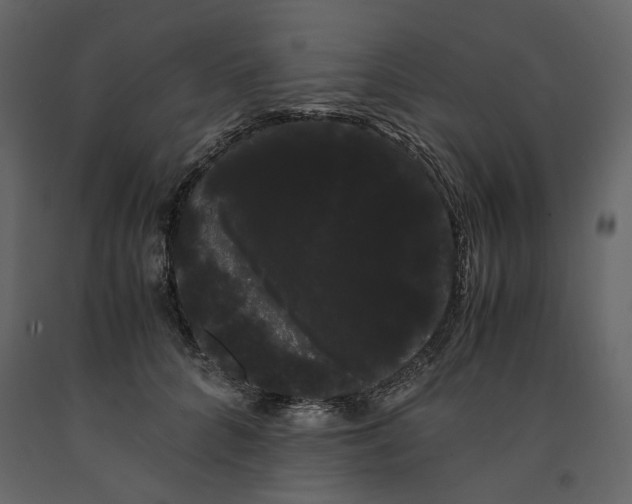 X0000091240704200708231717