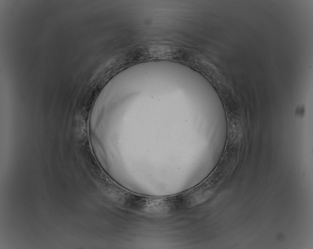 X0000091240705200708231717