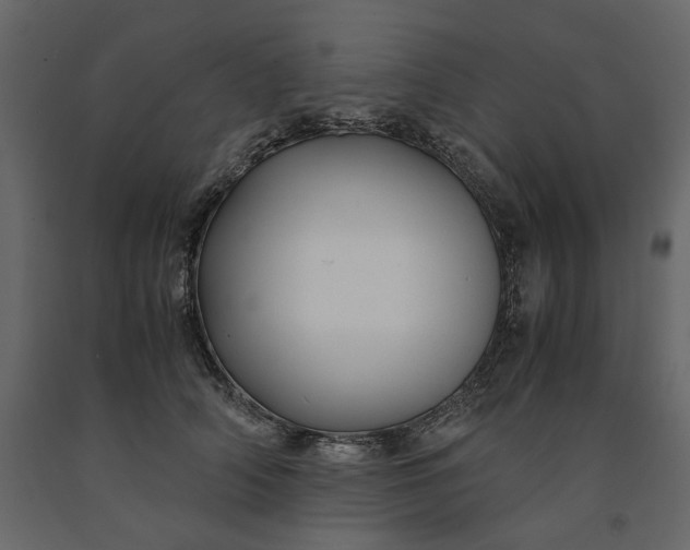 X0000091240706200708231717