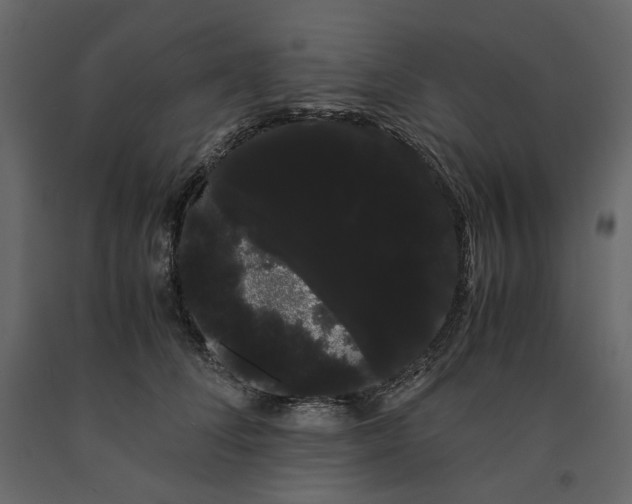 X0000091240708200708231717