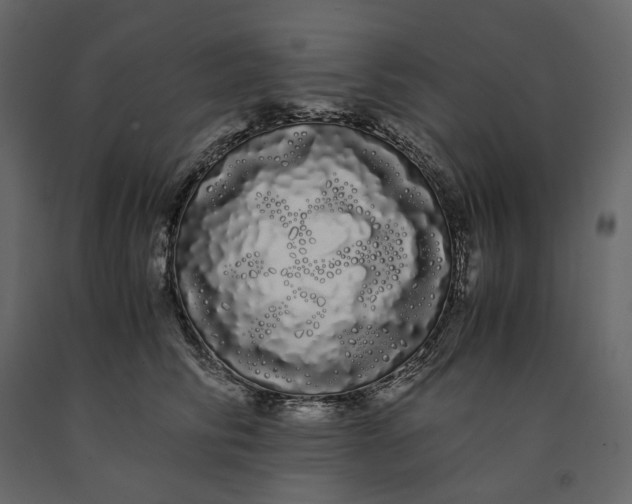X0000091240710200708231717