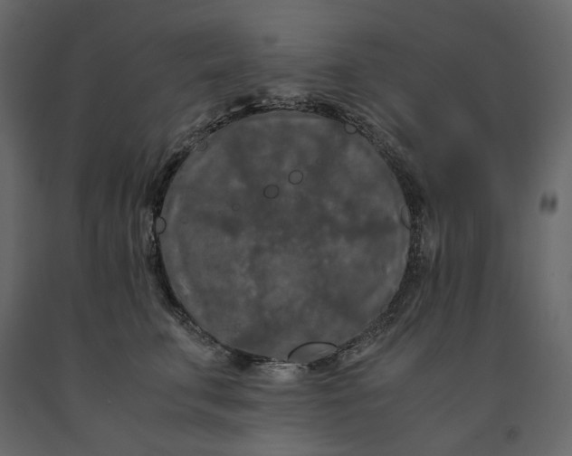 X0000091240711200708231717