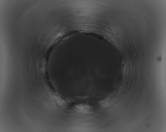 X0000091240712200708231717