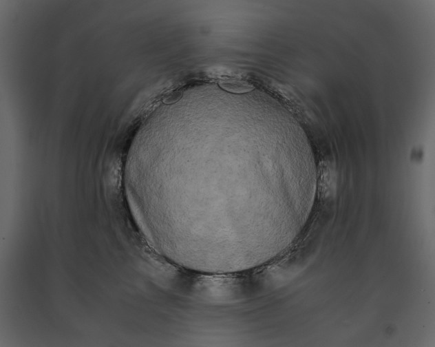 X0000091240713200708231717