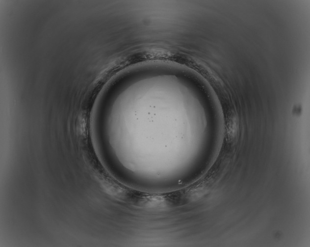 X0000091240715200708231717