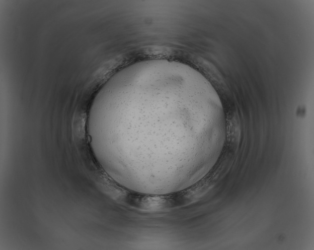 X0000091240717200708231717