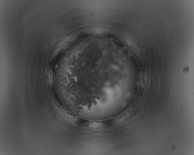 X0000091240718200708231717