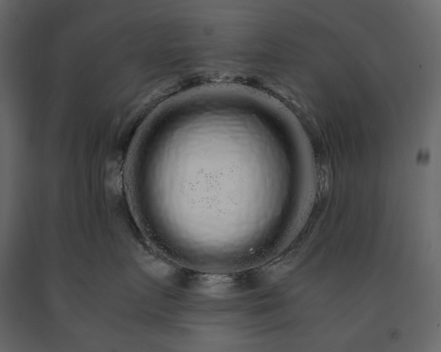 X0000091240719200708231717