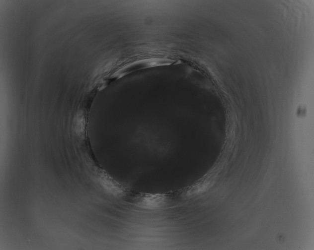 X0000091240720200708231717
