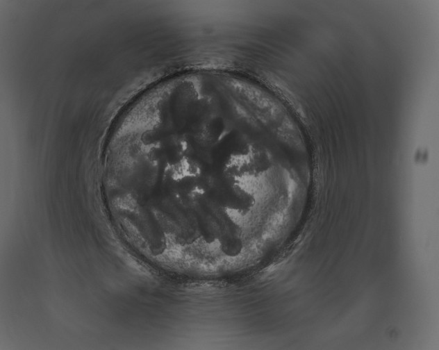 X0000091240721200708231716