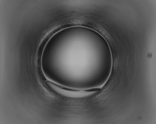 X0000091240722200708231716