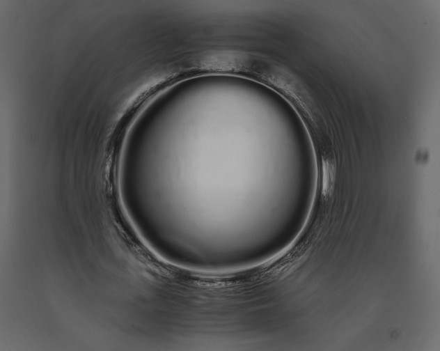 X0000091240723200708231716