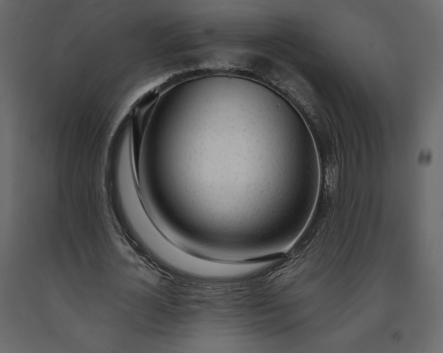 X0000091240724200708231716