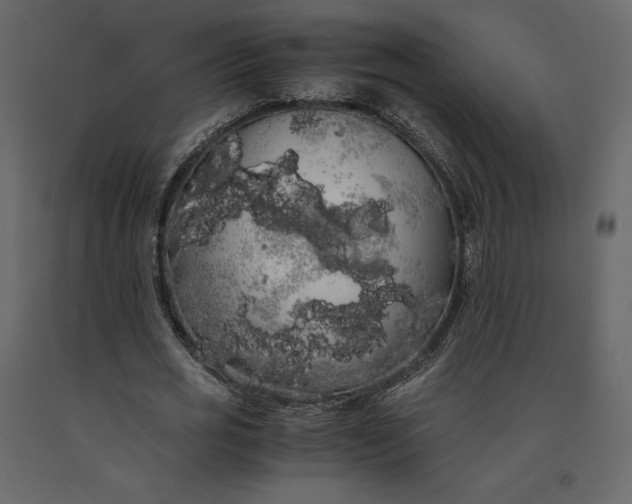 X0000091240725200708231716