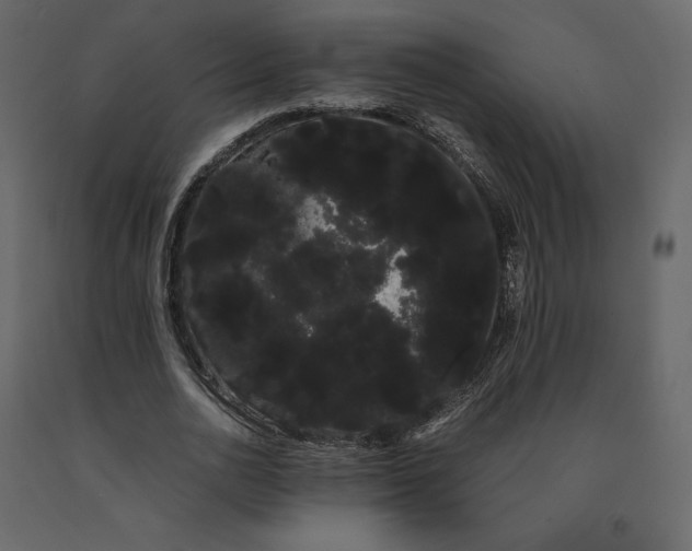 X0000091240726200708231716