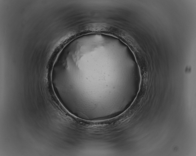 X0000091240727200708231716