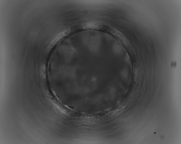 X0000091240729200708231716