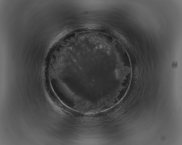 X0000091240730200708231716