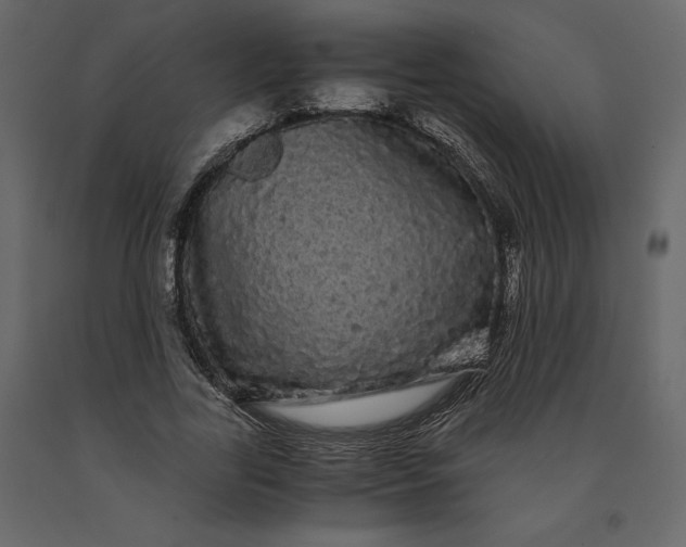 X0000091240731200708231716