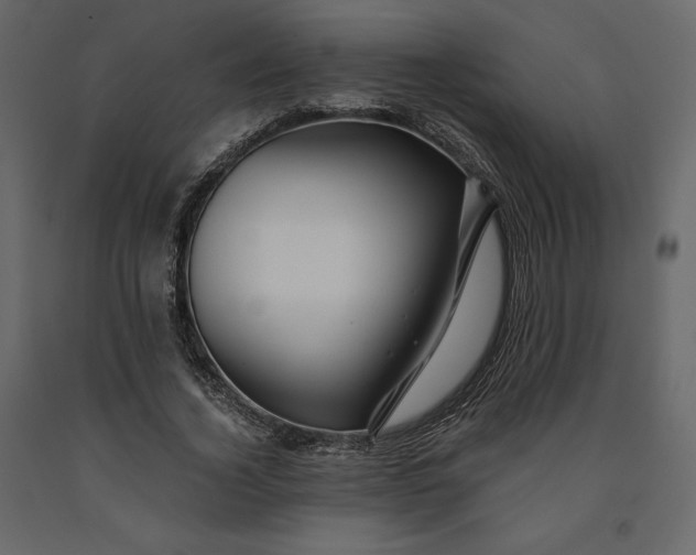 X0000091240732200708231716