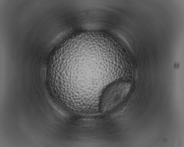 X0000091240733200708231716