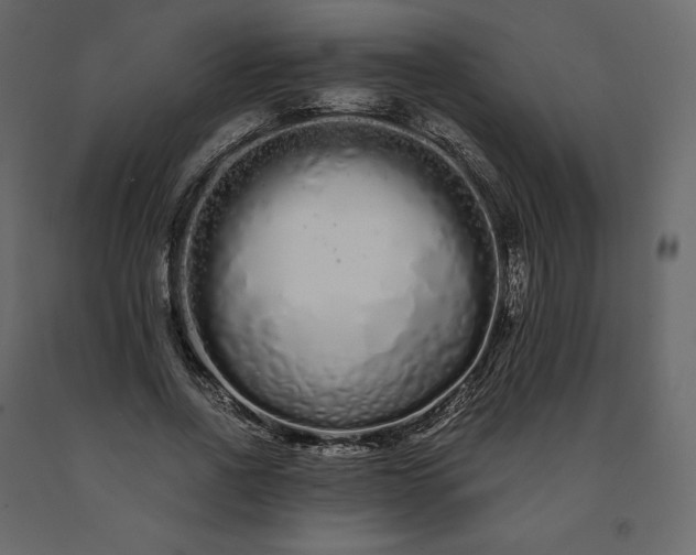 X0000091240734200708231717