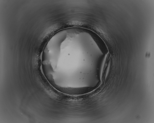 X0000091240735200708231717
