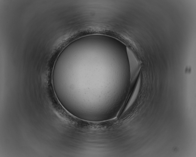 X0000091240736200708231717