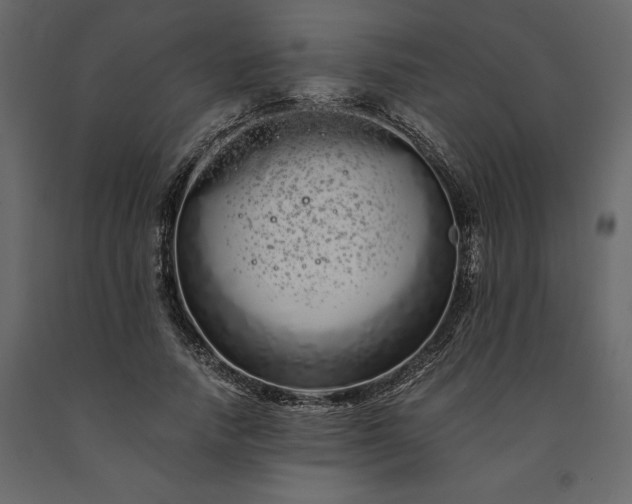 X0000091240738200708231717