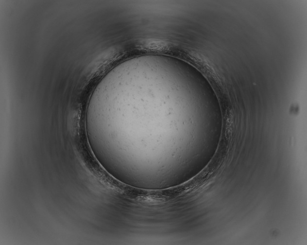 X0000091240739200708231717