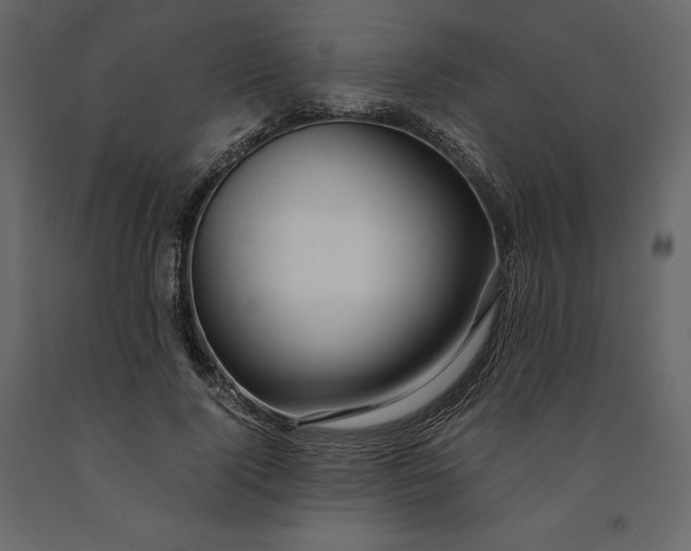 X0000091240740200708231717