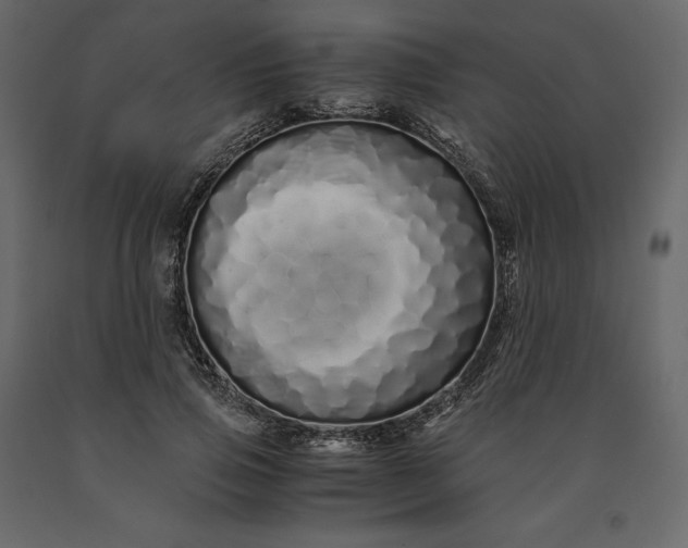 X0000091240741200708231717